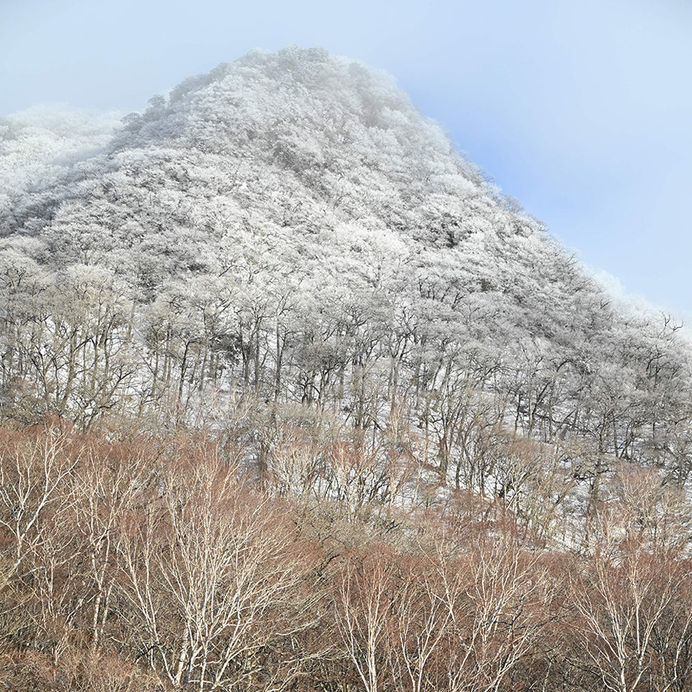 今年一年のお礼＆ギフトショーのご案内