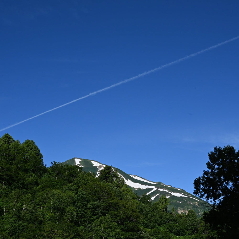 海の日に山で過ごす