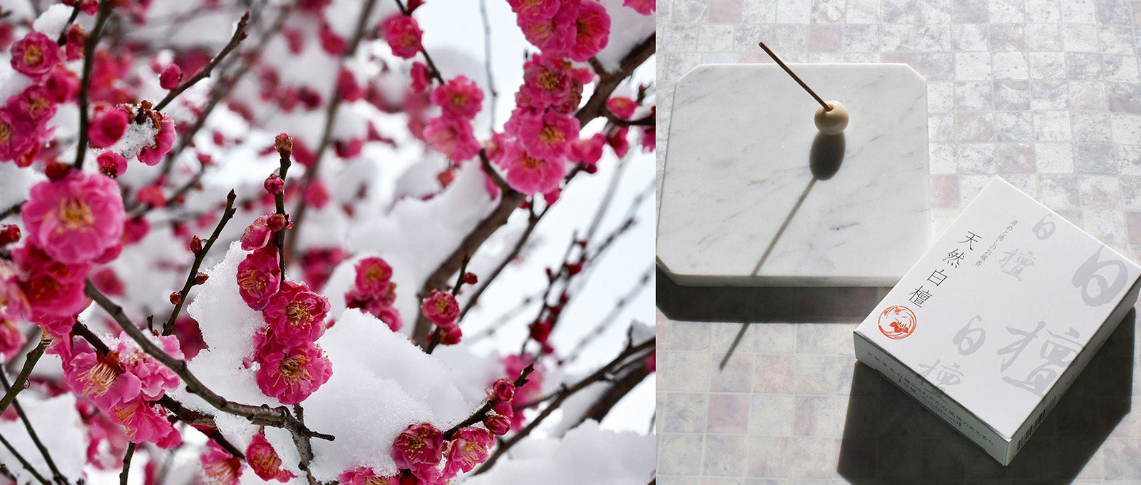 飾られた季節のお花と静かな和室で焚かれる百音のお香