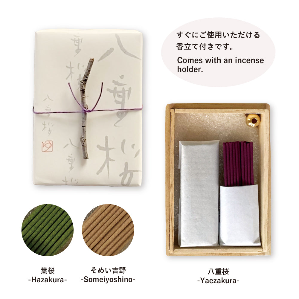 桜　桐箱　香立て付き(お香の色見本)